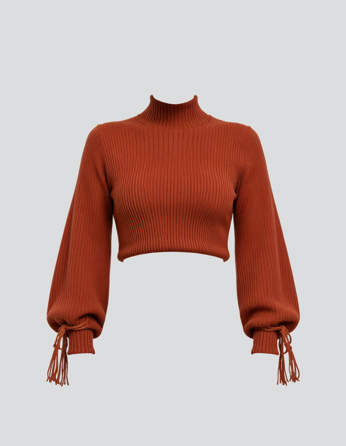 Balloon Sleeve Top